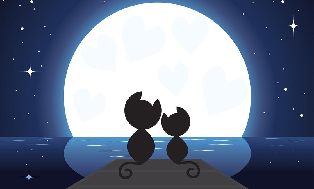 绍兴潮客汇微信活动策划案例